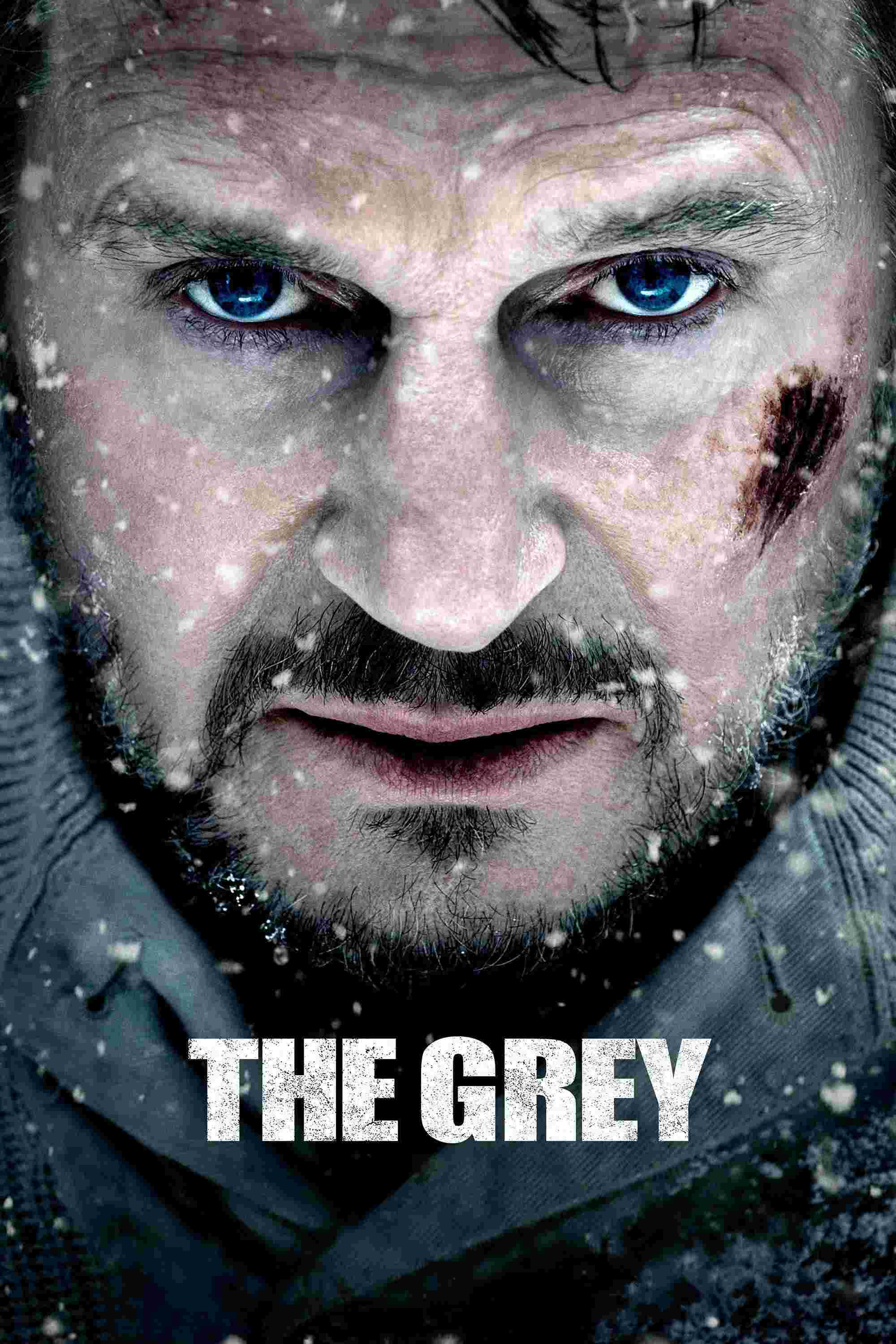 The Grey (2011) Liam Neeson